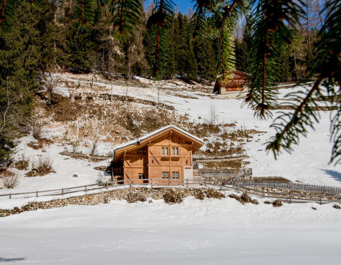 הוילה ראבי Chalet Bambi מראה חיצוני תמונה