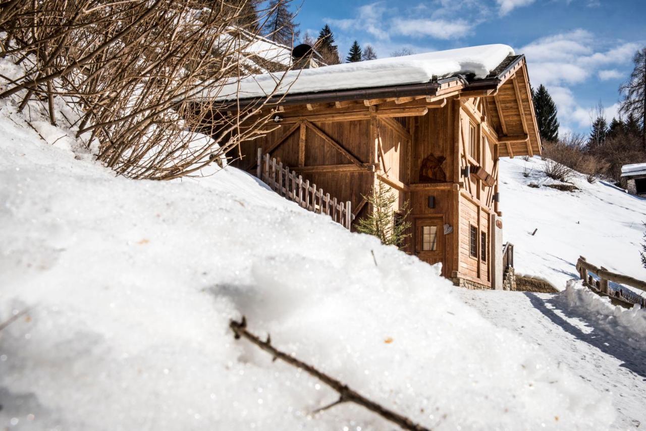 הוילה ראבי Chalet Bambi מראה חיצוני תמונה